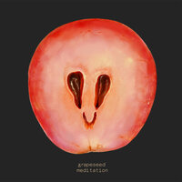 Grapeseed Meditation - Gavin Hardkiss