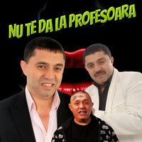 O noapte vrei - Nicolae Guta & Adrian Minune & Liviu Guta