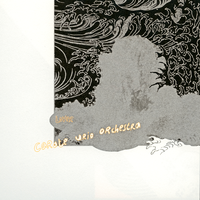 Fremdenzimmer - Carate Urio Orchestra