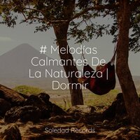 Siente La Paz - Sonidos De La Naturaleza & Musica para Dormir Dream House & Sons da Natureza