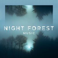 Velvet Evening - Relaxing Night Music Academy