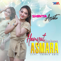 Hanyut Dalam Kecewa Asmara - Shinta Arsinta