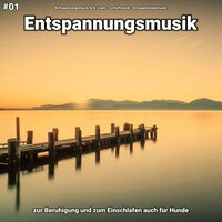 Entspannungsmusik pt. 78 - Entspannungsmusik Erik Lisen & Schlafmusik & Entspannungsmusik