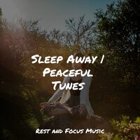 Cuddle Warmth - Lullaby Babies & Chillout Lounge & Shakuhachi Sakano