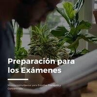 Mente en Blanco - Concentracion Examenes