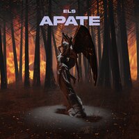 APATE - ELS