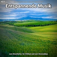 Entspannende Musik pt. 37 - Entspannungsmusik Bea Jenges & Schlafmusik & Entspannungsmusik