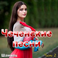 Попурри - Шамиль