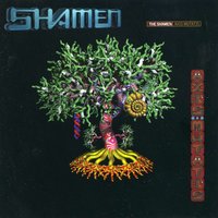 Heal (The Separation) - The Shamen & Steve Osborne
