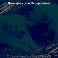 Атмосфера (Милые Собаки) - Джаз для собак Курирование