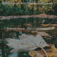 Созерцая (Фокус) - даунтемпо Фортепианная Музыка