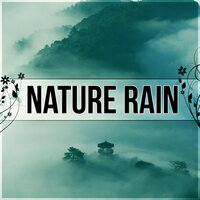 Braian Food (Concentration Music) - Nature Sounds Universe