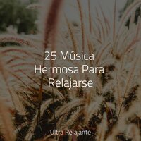 Cascada De La Música - Cancion de Cuna & Escola de Meditação & Mantra para Dormir