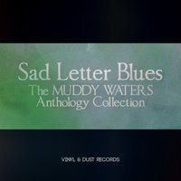 Mad Love (I Want You To Love Me) - Muddy Waters
