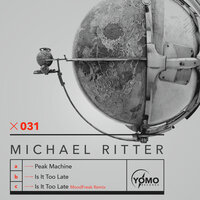 Is It Too Late - Michael Ritter