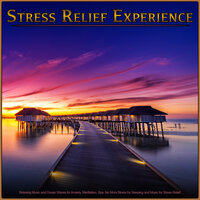 Stress Relief - Stress Relief Experience & Calm Music Guru & Relaxing music