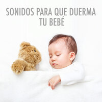 Ventilador (Nivel Medio) - Joalma