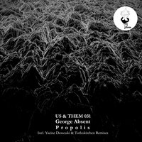 Propolis - George Absent
