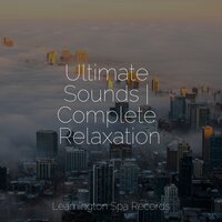 Soothing Soul - Calm Down & Lluvia & Namaste Yoga