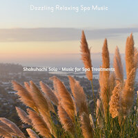 Hip Ambience for Spa Treatments - Dazzling Relaxing Spa Music