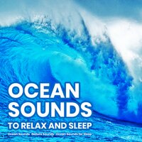 Perfect Vibes - Nature Sounds & Ocean Sounds & Ocean Sounds for Sleep