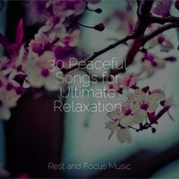 Relax - Sleep Sounds Of Nature & Pro Sounds of Nature & Soft Background Music