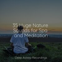 Ages Away - Musica Para Dormir y Sonidos de la Naturaleza & Monarch Baby Lullaby Institute & Saludo al Sol Sonido Relajante