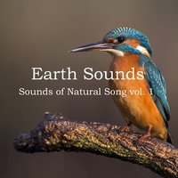 Break of Day - Earth Sounds