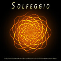 Tranquil Binaural Beats - The Solfeggio Peace Orchestra & Solfeggio & Solfeggio Frequencies 528Hz