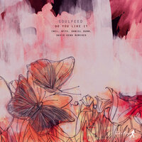 Do You Like It - Soulfeed & Ntfo