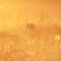 Endless Night - DP-6