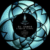 Liquid Vinyl - DJ Samer & Cybernalia