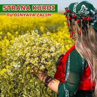 Tu Dinyaya Zalim - Strana Kurdi