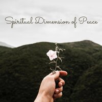 Moment of Meditation - Jessica Whispers