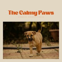 Logical Lighthouse - Dog Calming Music