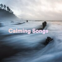 Body Rituals - Calming Songs & Relaxation Songs & Meditation Songs