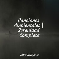 Recuerdos - Dormir Sol & Musica para Dormir 101 & Musica Para Niños