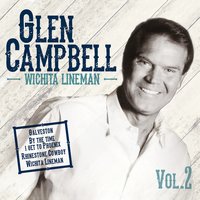 Foggy Mountain Breakdown/Orange Blossom Special - Glen Campbell