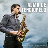 Maullido Gato Cool - Instrumental Jazz Música Ambiental