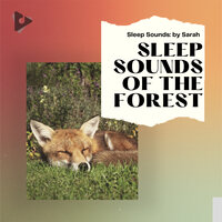 Water in the River Below - Sleep Sounds: by Sarah & Sleep Sounds Of Nature