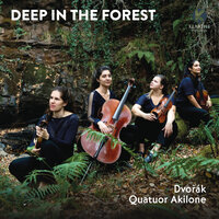 String Quartet No. 14 in A-Flat Major, Op. 105: I. Adagio ma non troppo - Allegro appassionato - Quatuor Akilone & Антонин Дворжак