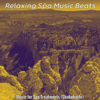 Sprightly Vipassana Meditation - Relaxing Spa Music Beats