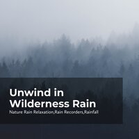Rain and Tweeting Birds - Rain Recorders & Rainfall & Nature Rain Relaxation