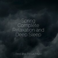 Gentle Mist - Ambient Forest & Native American Flute & Massage Tribe