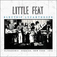 Dixie Chicken - Little Feat