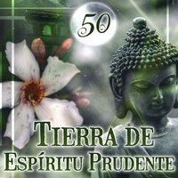 Masaje Música para Relajarse: Lluvia Suave - La Espiritualidad Música Colección