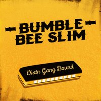 Deep Bass Boogie - Bumble Bee Slim