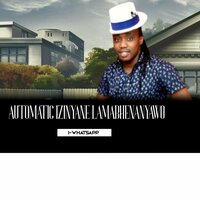I Love You Baby - Automatic Izinyane Lamabhenanyawo