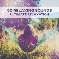 Lotus Garden - Massage Therapy Guru