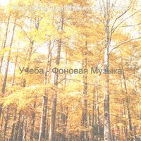 Звуки (Фокус) - Фортепианная Музыка общество